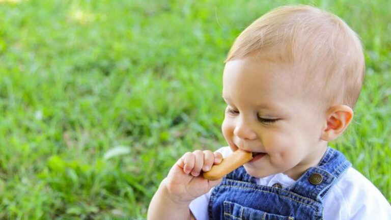 Cici Bebenin Faydaları Nelerdir? – Sağlık Haberleri