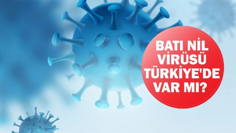 Batı Nil virüsü Türkiye’de var mı? Sağlık Bakanlığı Batı Nil virüsü açıklaması!