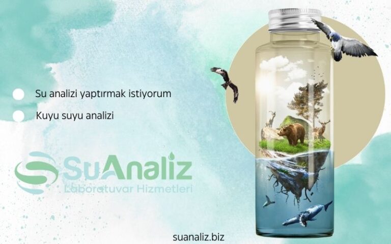 Su Analizi Yaptırmak İstiyorum: Hangi Kirleticilere Dikkat Etmeliyim?